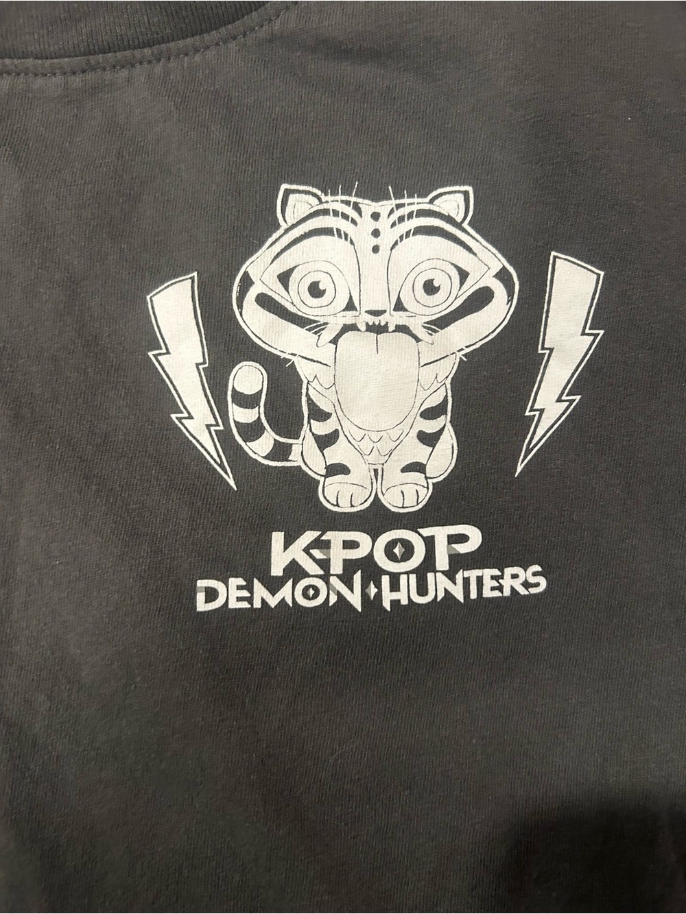 KPop Demon Hunters Derpy Tiger Graphic T-Shirt Black Size Medium